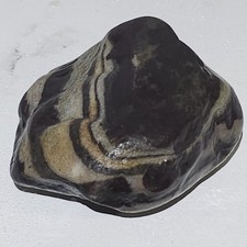 Banded Iron Formation Rock Natural 7.3 Oz picture