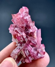 100 Carat Bunch Of Pink Tourmaline Crystal Specimen From Afghanistan picture