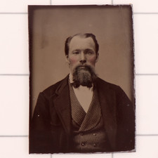 Antique CDV 9th Plate Tintype Photograph of a Mature Beared Man #1330 picture