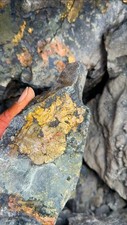 Gold + Platinum Group Ore | XRF-Tested Rhodium Palladium Iridium | Specimens picture