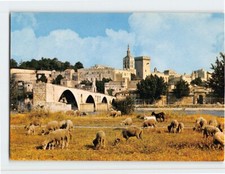 Postcard Pont d'Avignon et Palais des Papes Avignon France picture