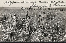 Arkansas cotton plantation Dardanelle AR Arkansas 1906 RPPC Photo Postcard COPY picture
