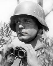 Eastern Front German Soldier Dienstglas Binoculars 13x19 Print WWII HT4136471 picture