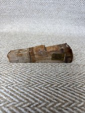 Vintage Petrified Spruce Wood Specimen Fossil Ginkgo Forest picture
