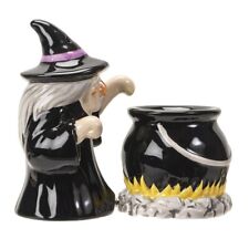 PT Witch and Cauldron Salt and Pepper Shakers Set picture