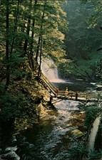 Bushkill Falls Pennsylvania ~ postcard sku161 picture