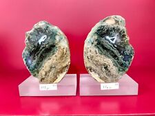 Pair of green agatized petrified wood polished + base  1484gr 8x10x11cm (97) picture