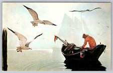 c1950s Maine Lobsterman Seagulls Fishing Eastern Illustrating Postcard picture