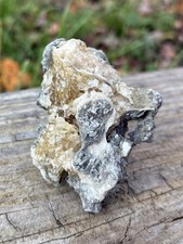Natural Calcite Clam Fossil- Beautiful 2.9” Yellow Calcite Fossilized Clam Shell picture