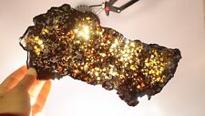 308g Natural meteorite,Slice olive meteorite-from Kenya SERICHO,collection N3693 picture