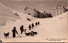 Vintage Grand St Bernard Hospice Switzerland Dogs Snow Caravan Alpine Postcard picture