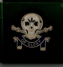Vintage 17th/24th Lancers Death or Glory Wire Button Blazer Badge Patch UK made picture
