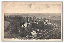 New Lexington Ohio OH Postcard Aerial View Of St. Aloysius Academy Scene c1920's picture