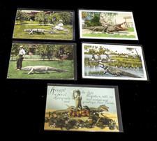 10 Postcard Lot Alligators Children with Carts Great Lot picture
