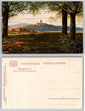 Königstein im Taunus Ruine vom Schneidhainerhain Wiedemann Postcard picture