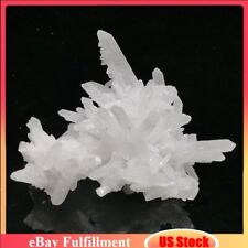 100g Natural Gemstone White Clear Quartz Healing Crystal Point Cluster Specimens picture
