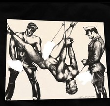 TOM OF FINLAND  LEATHER  7X6 POSTCARD picture