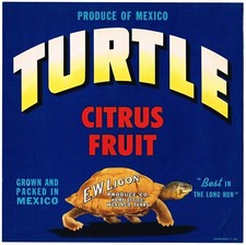 ORIGINAL CITRUS CRATE LABEL VINTAGE RARE 1959 TEXAS TURTLE WESLACO LIGON picture