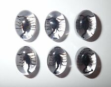 Insect Cabochon Black Scorpion Oval 12x18 mm Clear 10 pieces Lot picture