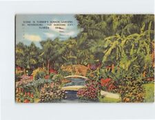 Postcard Scene in Turner's Sunken Gardens St. Petersburg Florida USA picture