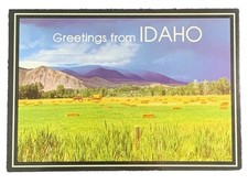 Greetings From Idaho Harvest on the Farmlands Postcard Unposted picture