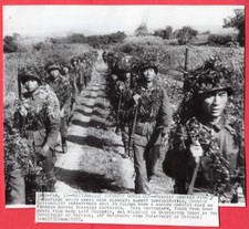 1955 Chinese Nationalist Troops on Maneuvers on Formosa Original News Wirephoto picture