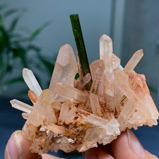47G Natural Green tourmaline with quartz crystal cluster mineral specimen picture