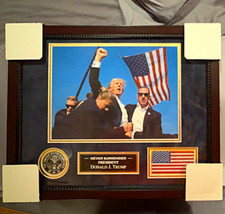 Framed Never Surrender Donald J. Trump Photograph w/ U.S. Seal & Flag picture