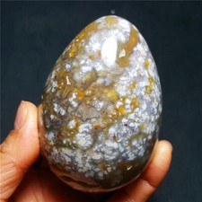 HOT458.8G Natural Colorful RARE Polished snowflake Jasper EGG 3165+ picture