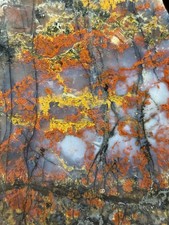 St. Johns Flower Agate Stabilized Slab Lapidary Cabochon Arizona picture