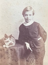 Antique CDV  Beautiful Young  Boy Kitten Cat Book~Boston Mass Civil War picture