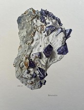 Benitoite Neptunite Vintage Mineral Print from 1967 picture