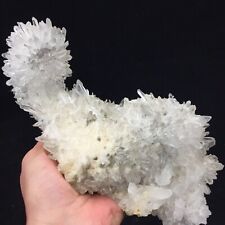 1130g Natural Extremely Transparent Chrysanthemum Crystal Cluster Mineral picture