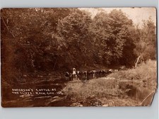 c1908 Anderson's Cattle at The Cliffs Rock City Illinois IL RPPC Photo Postcard picture