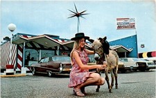 ESSEX ST, ICE CREAM, REVOLUTION INTERSTATE, SOUTH CAROLINA, 95 Postcard picture