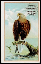 C1890s Mrs T M Johnson Milliner Spencer MA Victorian Eagle Litho Trade Card picture