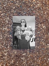 1958 Joan Crawford TWA Flight Airport Poodles LAX Hollywood 4x6 Lustre Photo picture
