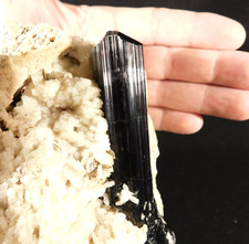 wOw BIG Long Terminated Gemmy Schorl Tourmaline Crystal on Big Matrix Brazil picture