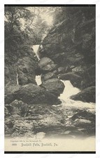 Bushkill Pennsylvania Bushkill Falls Standard Postcard COPY RPPC picture