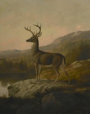 stunning 24x36 oil painting handpainted on canvas 