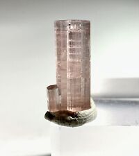 An Incredible Terminated Tourmaline Crystal From Pakistan picture