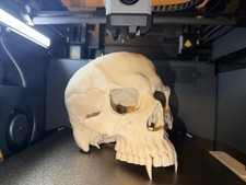 vampire skull 3d print picture