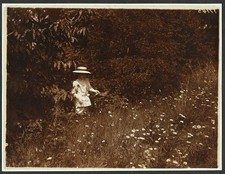 Photo:Oyster Bay New York Quentin Roosevelt 1904 Daisies at Sagamore Hill picture