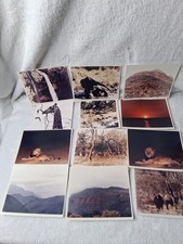 41 Vintage 1960s African Safari Photos Lions Elephants Giraffe AGFA Originals picture