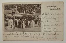 Angola NY New York View Of Pine Lodge Vintage 1907 Postcard L1 picture