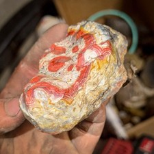 Natural Imperial Kentucky Agate Chunk With Sharp Banding *Purple Red Yellow Rare picture