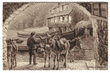 Rare Clovelly Donkeys Devon England Vintage Sepia Postcard Salmon Series UK picture