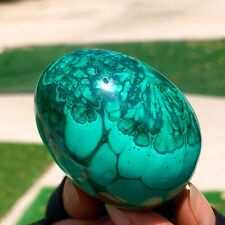 216G Natural glossy Malachite egg transparent cluster rough mineral sample picture