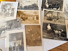 10 Antique Post Cards Children in Carts Goats Donkeys Horses picture