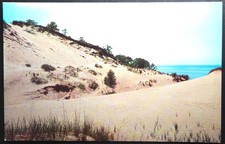 Greetings From Michigan City Indiana Sand Dunes Lake Michigan Dexter Press picture